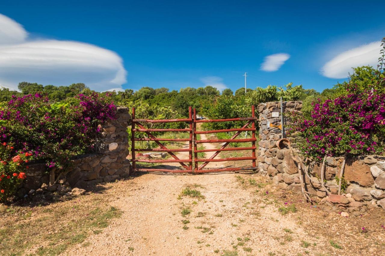Villa Sa Tanca 'E Pedduzza Orosei Exterior foto