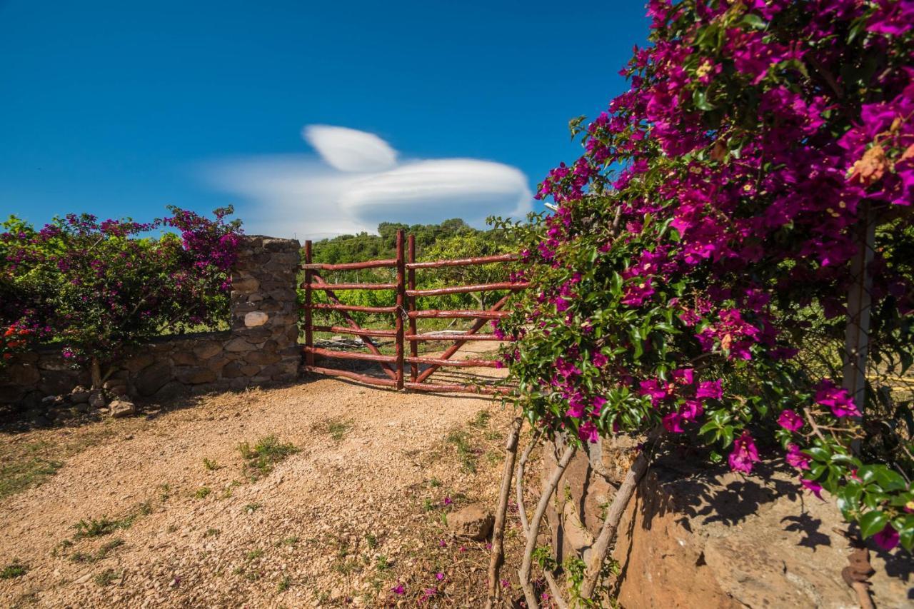 Villa Sa Tanca 'E Pedduzza Orosei Exterior foto