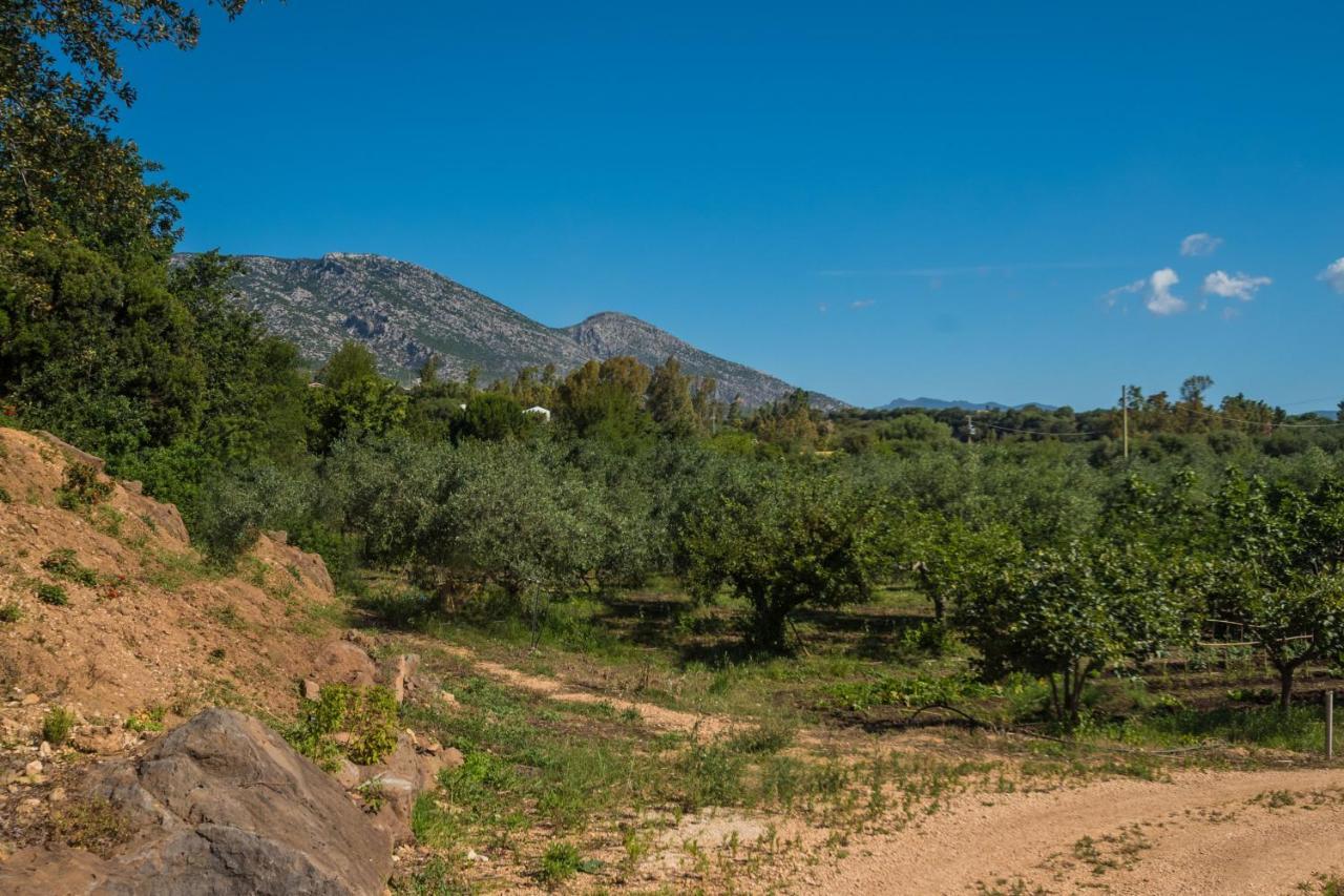 Villa Sa Tanca 'E Pedduzza Orosei Exterior foto